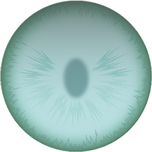 #09